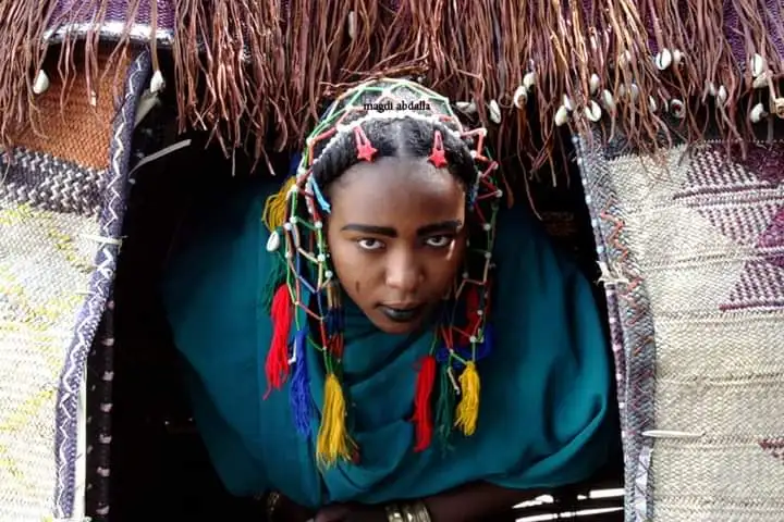 حرية الإعلام وضمانات التحول الديمقراطي في السودان 
