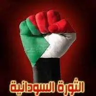 المرأة السودانية ونخيل التمر